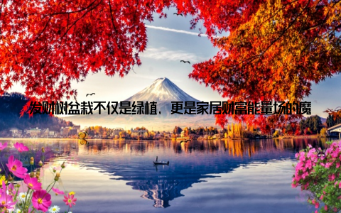 发财树盆栽不仅是绿植, 更是家居财富能量场的魔法师! 在这个快节奏的生活中, 我们常常忽略了自己的小确幸