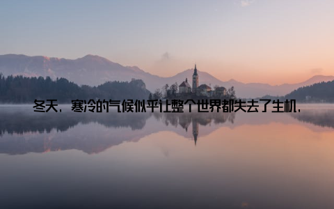 冬天, 寒冷的气候似乎让整个世界都失去了生机, 但只要家中有一抹绿意盎然的生机, 便能驱散冬日的寒冷, 带来一份温馨与活力