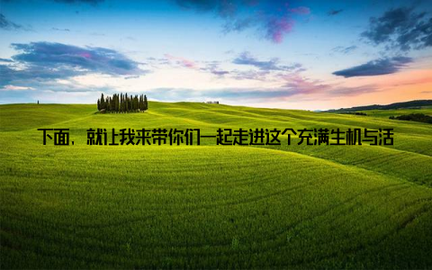 下面, 就让我来带你们一起走进这个充满生机与活力的世界吧! 一、市场火爆, 盆栽花卉备受追捧最近, 盆栽花卉市场可谓是火热非凡