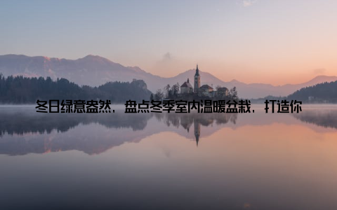 冬日绿意盎然, 盘点冬季室内温暖盆栽, 打造你的绿色小天地! 寒冷的冬季, 室内养几盆生机勃勃的盆栽, 不仅能增添家居的温馨氛围, 还能让心情愉悦