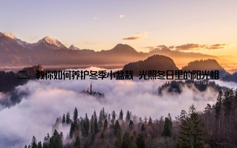 二、教你如何养护冬季小盆栽 光照冬日里的阳光相对较少, 因此, 养护小盆栽时, 要尽量选择光照充足的地方