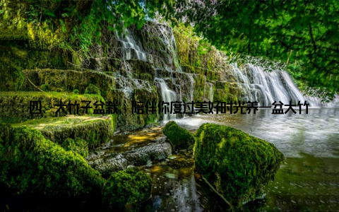 四、大竹子盆栽, 陪伴你度过美好时光养一盆大竹子盆栽, 就像养了一个小生命, 每天为它浇水、施肥, 观察它的成长, 仿佛在陪伴着一个孩子长大