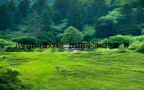 八宝盆栽花爆火网络, 绿植新宠引种植热潮, 养出生活新花样! 嘿, 亲爱的植物爱好者们, 你是否也厌倦了千篇一律的家居装饰? 那就来看看这个正在网络爆火的绿植新宠八宝盆栽花吧! 它不仅走红网络, 更是引发了新一轮的种植热潮