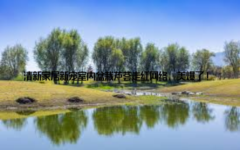 清新家居新宠室内盆栽芦荟走红网络, 美爆了! 必备养护攻略, 快来get! 近年来, 随着生活节奏的加快, 越来越多的人开始注重家居环境的打造