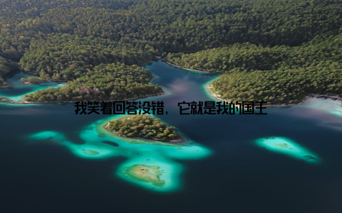 我笑着回答没错, 它就是我的国王