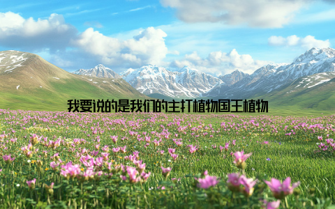 我要说的是我们的主打植物国王植物