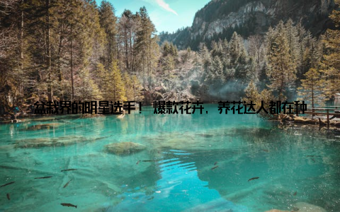 盆栽界的明星选手! 爆款花卉, 养花达人都在种这些! 春天来了, 万物复苏, 家里添上一盆绿植, 不仅能美化环境, 还能陶冶情操