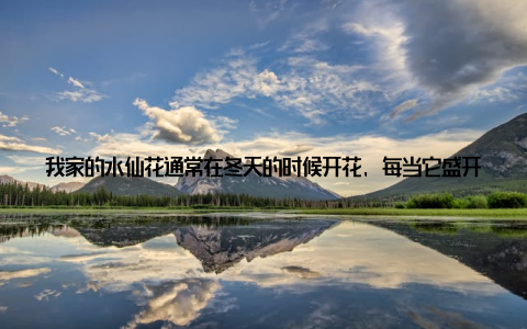 我家的水仙花通常在冬天的时候开花, 每当它盛开的时候, 我就会在窗台上摆上一盆, 整个房间都弥漫着花香, 让人心情愉悦