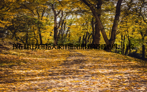 现在就让我来给大家详细说说我的养植心得, 让你的家居瞬间绿意盎然! 我得说, 我之前对养植物真的是一窍不通, 总觉得那些绿油油的叶子需要精心呵护, 才能茁壮成长