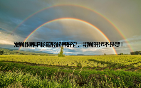 发财树养护秘籍轻松养好它, 招财旺运不是梦! 家中的绿植不仅能美化环境, 还能带来好运, 发财树就是其中的佼佼者