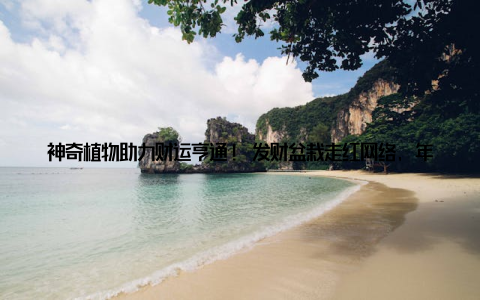 神奇植物助力财运亨通! 发财盆栽走红网络, 年轻人的新宠! 在这个快节奏的时代, 我们都渴望好运连连, 财运亨通