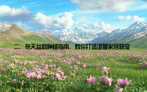 二、冬天盆栽种植指南, 教你打造温馨家居新宠 选择合适的盆栽冬天种的盆栽, 应选择耐寒、耐旱、耐阴的品种
