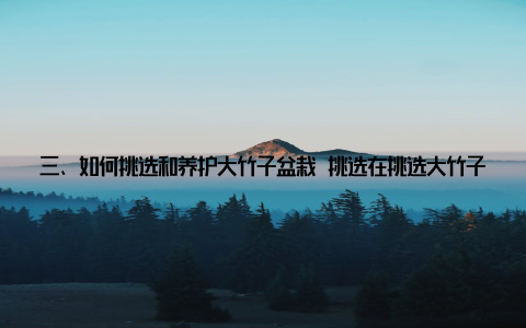 三、如何挑选和养护大竹子盆栽 挑选在挑选大竹子盆栽时, 应注意以下几点1选择生长旺盛、竹杆笔直的竹子2观察竹叶颜色, 选择翠绿、无病虫害的竹子3检查土壤, 确保土壤疏松、透气