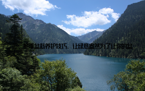 三、冬季盆栽养护技巧, 让绿意盎然为了让你的盆栽花园在冬日里依然绿意盎然, 我们需要掌握一些冬季盆栽养护技巧