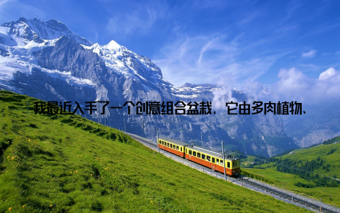 我最近入手了一个创意组合盆栽, 它由多肉植物、观叶植物和仿真花组成, 摆放在客厅里, 感觉整个空间都变得生动起来