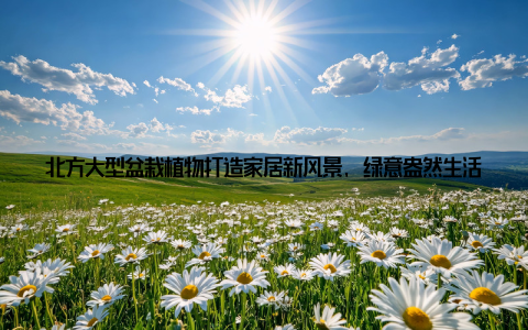 北方大型盆栽植物打造家居新风景, 绿意盎然生活新潮流随着生活节奏的加快, 越来越多的年轻人开始追求绿色、健康的生活方式