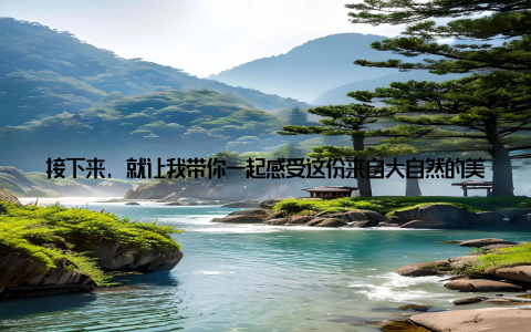 接下来, 就让我带你一起感受这份来自大自然的美好吧! 记得那是一个阳光明媚的周末, 我在逛花卉市场的时候, 一眼就看到了它大花惠兰盆栽