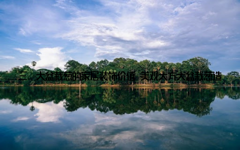 三、大盆栽葱的家居装饰价值 美观大方大盆栽葱造型独特, 色彩丰富, 可为家居增添一抹绿色, 提升家居品味