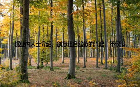 据业内人士介绍, 创意组合盆栽的兴起, 不仅满足了消费者对个性化和美观化的需求, 也为小盆栽市场带来了新的商机