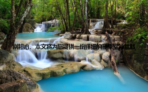 别担心, 本文将为您提供一份详细的冬季室外盆栽养护攻略, 教您如何让绿植安然过冬, 继续享受冬日的绿意
