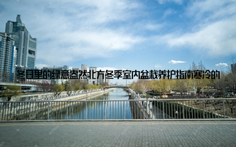 冬日里的绿意盎然北方冬季室内盆栽养护指南寒冷的冬季, 北方城市的街头巷尾都弥漫着冬日的气息, 而室内则成了我们温暖的小天地