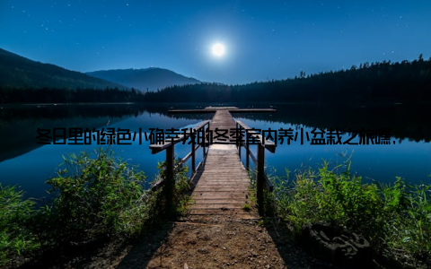 冬日里的绿色小确幸我的冬季室内养小盆栽之旅嘿, 大家好! 今天我要和大家分享一个关于冬日里的温暖小故事, 那就是我最近开始尝试的冬季室内养小盆栽