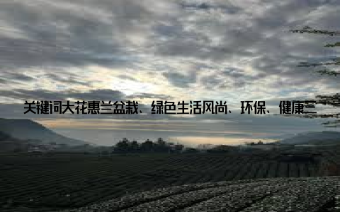 关键词大花惠兰盆栽、绿色生活风尚、环保、健康三、大花惠兰盆栽, 品味生活的仪式感在生活中, 仪式感往往体现在一些细节之处