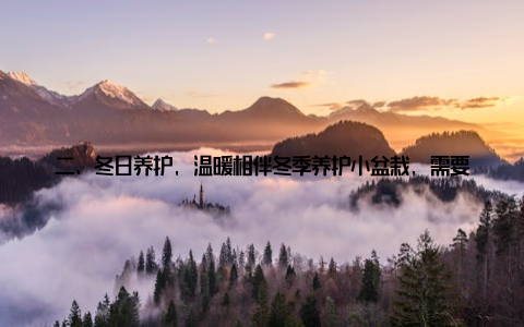 二、冬日养护, 温暖相伴冬季养护小盆栽, 需要特别注意以下几个方面 光照冬日阳光稀缺, 但小盆栽仍然需要足够的散射光