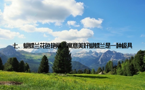 七、蝴蝶兰花色艳丽, 寓意美好蝴蝶兰是一种极具观赏价值的室内花卉, 其花朵色彩艳丽, 犹如蝴蝶翩翩起舞