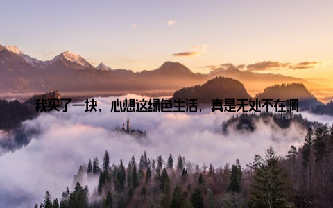 我买了一块, 心想这绿色生活, 真是无处不在啊! 正当我沉浸在美好的氛围中时, 突然发现市场里还举办了一场盆栽大赛