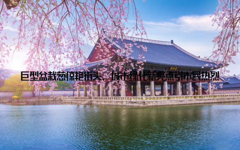 巨型盆栽葱惊艳街头, 城市绿化新亮点引市民热烈追捧近日, 我国某城市街头出现了一道独特的风景线大盆栽葱, 其巨型造型惊艳亮相, 吸引了众多市民驻足观赏, 成为了城市绿化的一大亮点