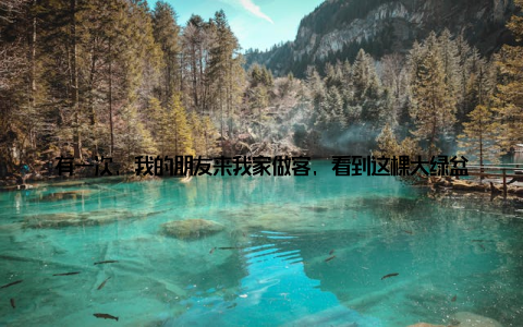 有一次, 我的朋友来我家做客, 看到这棵大绿盆栽, 不禁赞叹道哇, 你家的绿植真漂亮, 这是哪儿买的? 我笑着回答这是我家的新宠, 它让我感受到了生活的美好