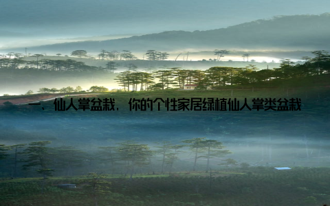 一、仙人掌盆栽, 你的个性家居绿植仙人掌类盆栽, 仙人掌盆栽养殖技巧轻松打造独特家居绿意, 这句话不仅道出了仙人掌盆栽的养殖优势, 更揭示了它在家居装饰中的独特魅力