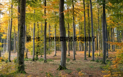 第一步, 当然是要挑选多肉植物了