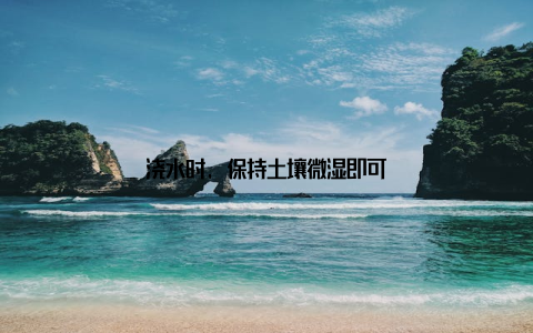 浇水时, 保持土壤微湿即可