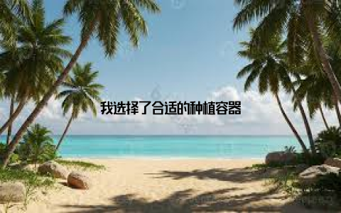 我选择了合适的种植容器