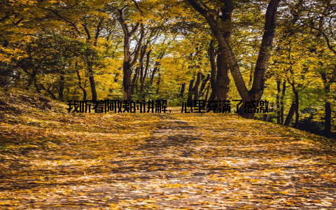 我听着阿姨的讲解, 心里充满了感激