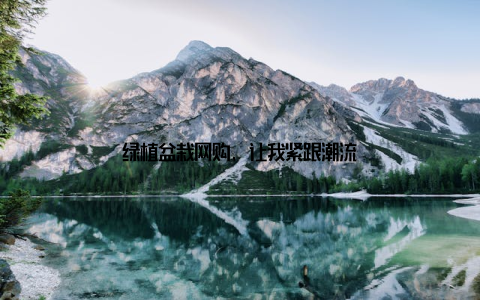 绿植盆栽网购, 让我紧跟潮流