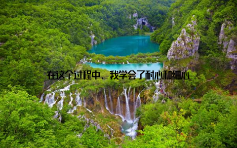 在这个过程中, 我学会了耐心和细心