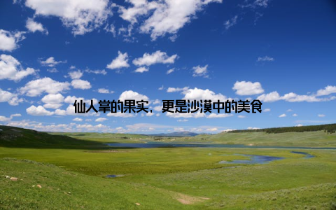 仙人掌的果实, 更是沙漠中的美食