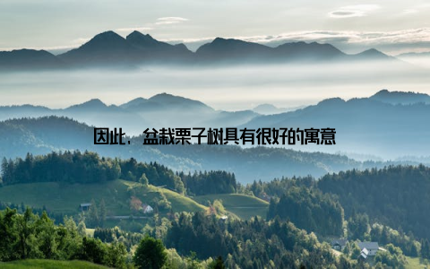 因此, 盆栽栗子树具有很好的寓意