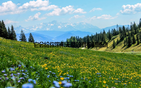 它会给你带来无尽的喜悦和感动