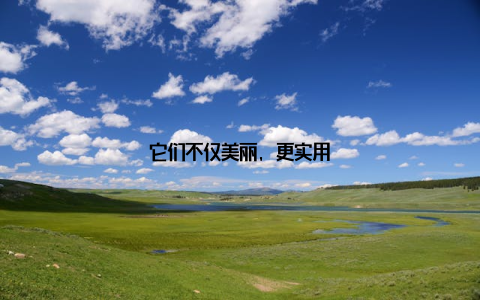 它们不仅美丽, 更实用