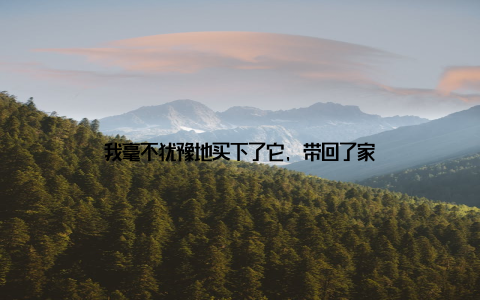 我毫不犹豫地买下了它, 带回了家