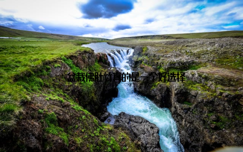 , 盆栽佛肚竹真的是一个好选择