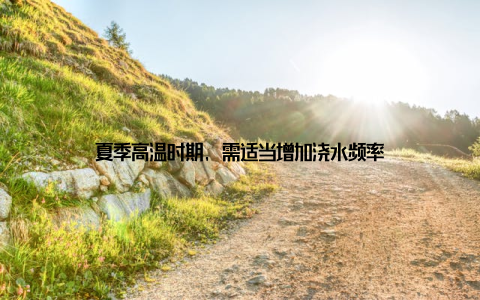 夏季高温时期, 需适当增加浇水频率