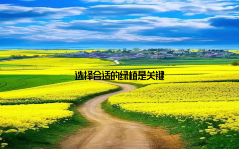 选择合适的绿植是关键