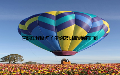 它陪伴我度过了许多快乐和烦恼的时刻