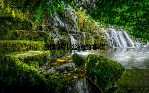 合理搭配花盆栽树的种类