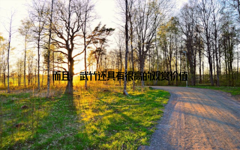 而且, 武竹还具有很高的观赏价值